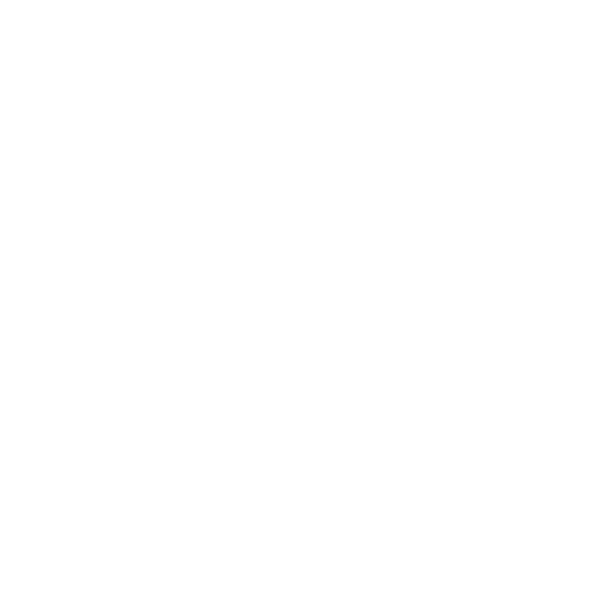 2024_Technical Icon_White